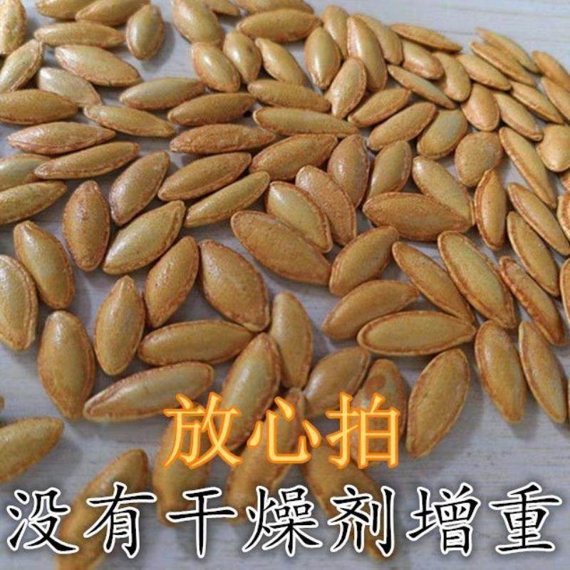 速发正宗长粒美人甲椒盐美指甲南瓜子颗颗饱满休闲零食厂