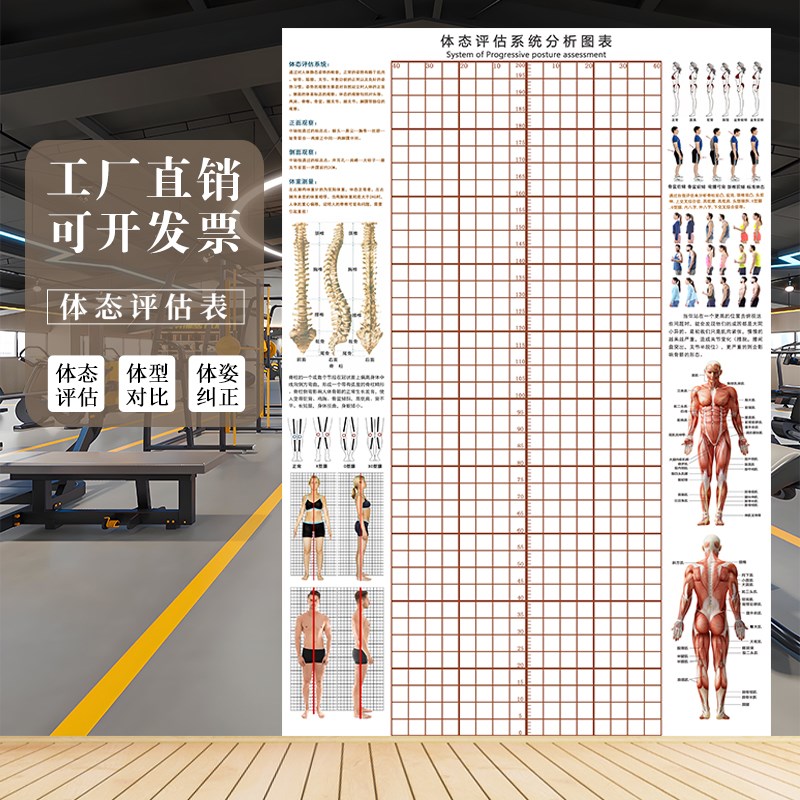 体态评估表体姿图壁画健身房瑜伽馆身体姿态评估图培训机构体测表