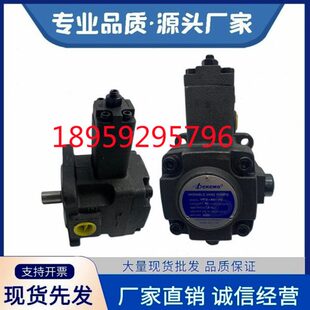 R13 116 PV2R1 R12 Dekema德克玛高压叶片泵PV2R2