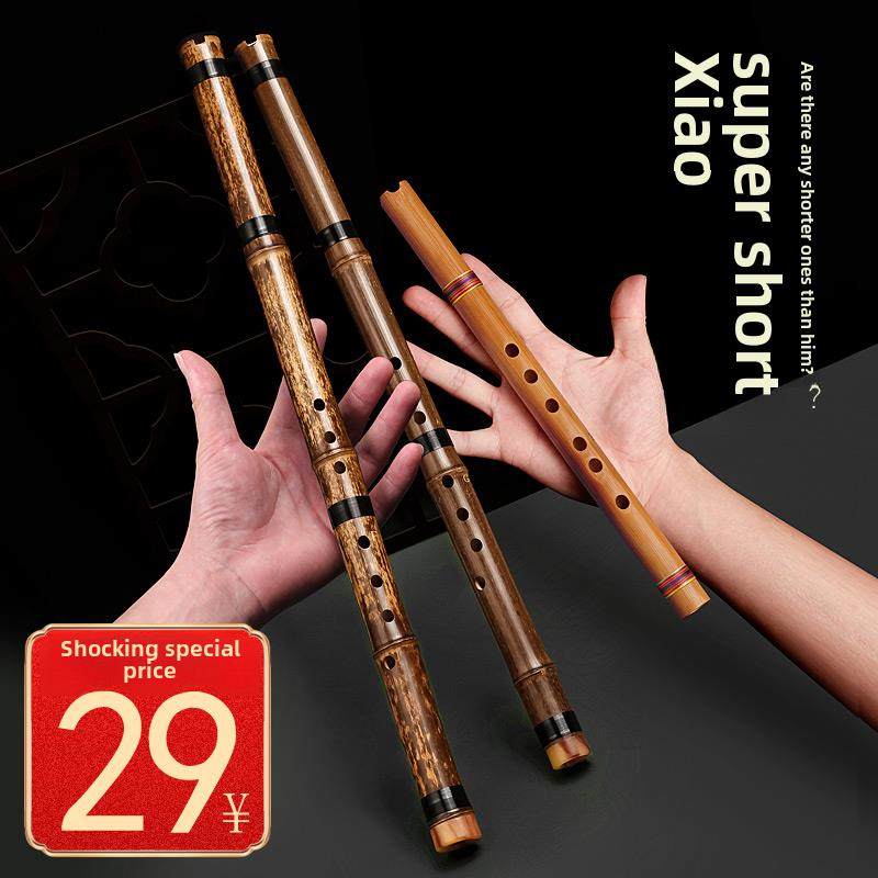 零基础入门洞箫便携苦竹高级短萧迷你小笛子古风六F调初学萧乐器
