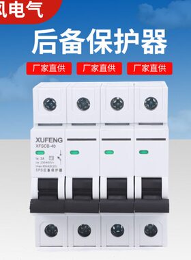 SPD浪涌后备保护器 SCB前置保护开关 防雷电涌保护器2P4P40KA电源