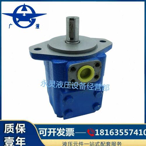 广液YBE-80高压叶片泵YBE-16 YBE-25 YBE-32 YBE-40 YBE-63液压泵