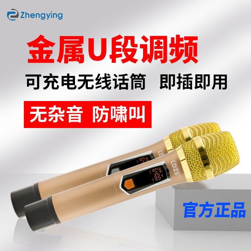 专业无线话筒一拖二麦克风U段调频家用台J式电脑唱歌k歌会议ktv