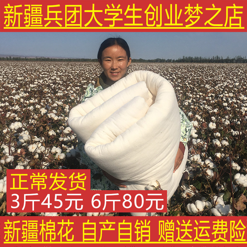 新款新疆长绒棉花被子全棉絮加厚保暖冬被芯双人优质床v垫被纯a棉