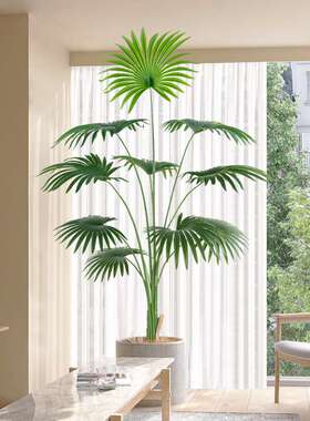 大型仿真绿植仿生盆栽加州蒲葵客厅假树植物室内客厅落地装饰摆件