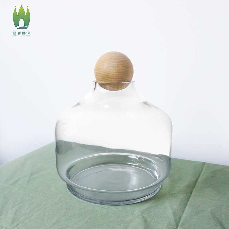 简约创意透明微景观生态瓶苔藓水培多肉水草缸植物玻璃花瓶摆件