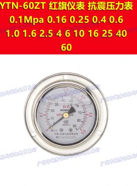 YTN-60ZT红旗仪表防震耐震真空负压压力表-0.1-0mpa 0.15 0.5 0.9