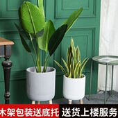 北欧镁泥落地花盆简约琴叶榕室内客厅阳台庭院别墅绿植大小号花器