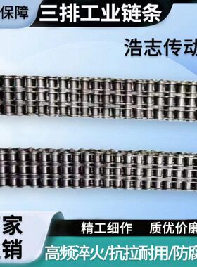 三排链条工业 传动链条 08B 10A 12A 16A 20A 24A 32A
