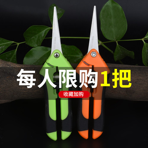 家用剪刀树枝剪手工小型花枝剪果树修枝剪刀园艺省力修花枝剪果枝
