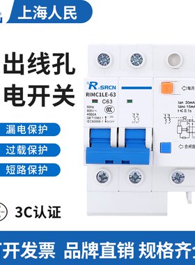 2P家用220V漏电开关DZ47LE63a空气开关带漏电保护大孔出线C45漏保
