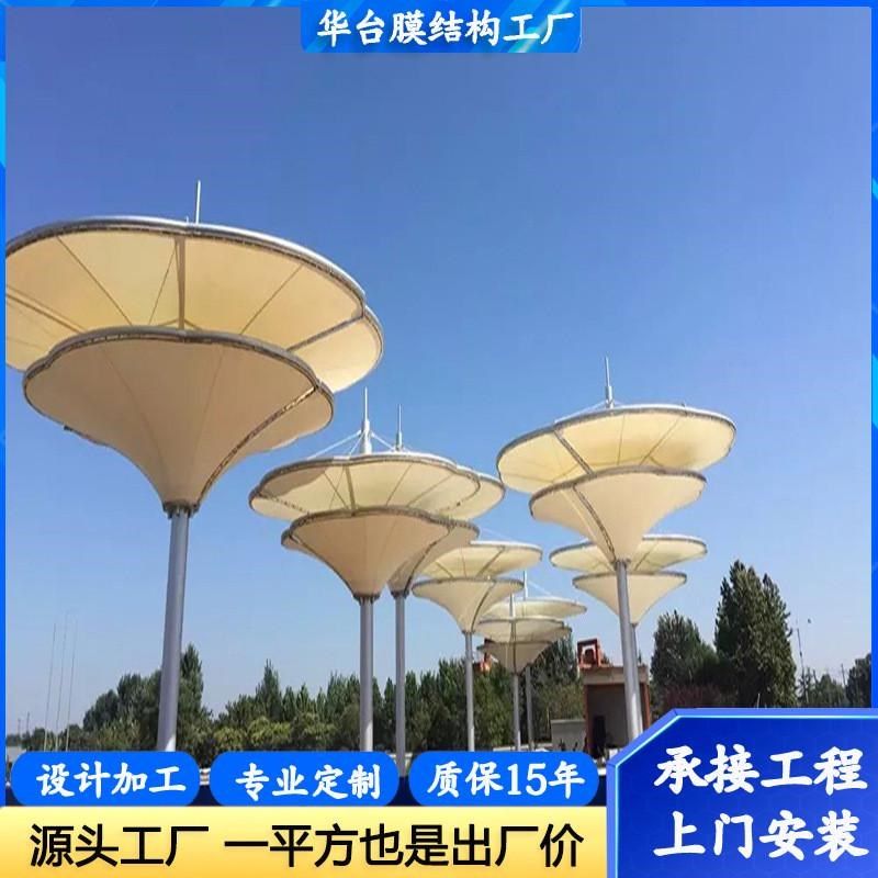 山东供应安装膜结构景观棚园林张拉膜结构景观篷遮阳棚雨蓬