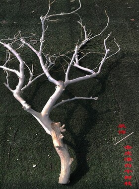 干树枝树装e饰树干造型艺术造景去皮本色玄关壁挂枯枝酒店婚庆摆