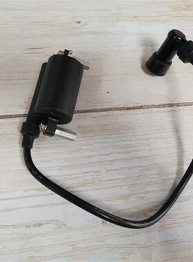 适用铃木王GS 钻豹HJ125K太子 GN 锐爽EN125-2高压包组合点火线圈