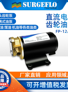 surgeflo小型电动齿轮油泵正反转抽柴油润滑油泵直流加油设备机器