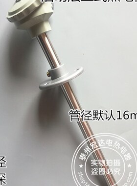 WRN-330/WRN-331 K型热电偶 活动法兰热电偶 PT100温度传感器探头