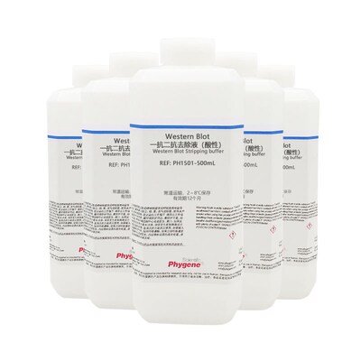 WB一抗二抗洗脱液(酸性) 膜再生液 抗体剥离液 Stripping buffer