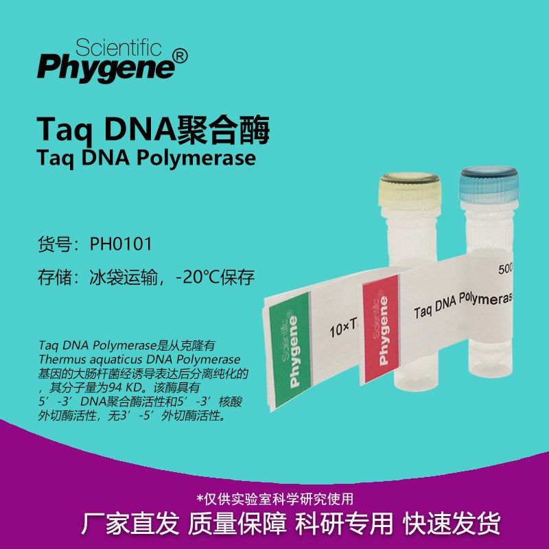 Taq DNA聚合酶 PCR科研实验 Taq DNA Polymerase PH0101 PHYGENE