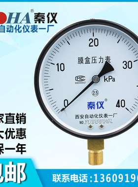 YE150膜盒压力表千帕微压表40KPA天然气专用表西安自动化仪表一厂