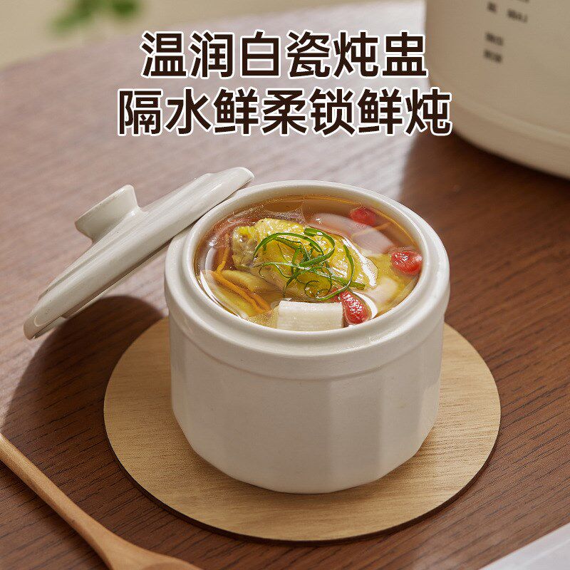 多功能蒸蛋器智能煮蛋器全自动小电炖盅陶瓷多功能家用隔水炖1.0L