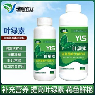 叶绿素叶面肥叶片增绿变厚增花保果提苗壮棵增绿果树蔬菜花卉通用