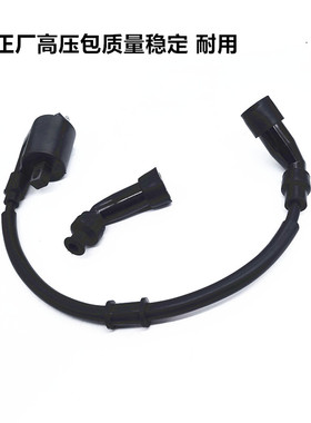 适用龙嘉V途LJ2502V ECU V咖V途V点火器点火线圈高压包帽火花塞