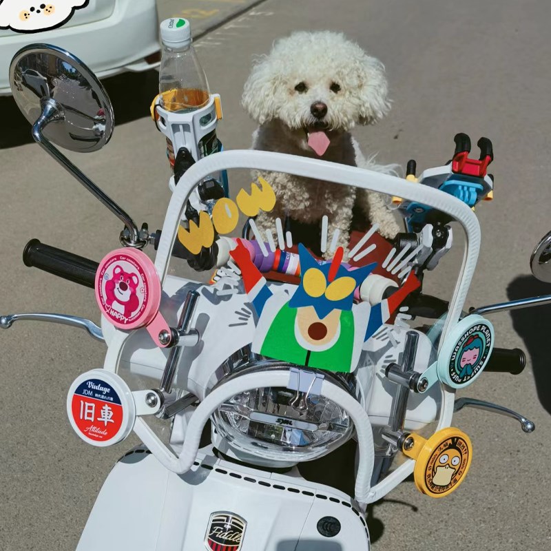 适用三阳飞度4/5风挡装饰税牌fiddle150包边条车身反光贴纸改装