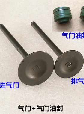 适用于新大洲本田CG125国三款SDH125-7D 7E原装气门 气门油封