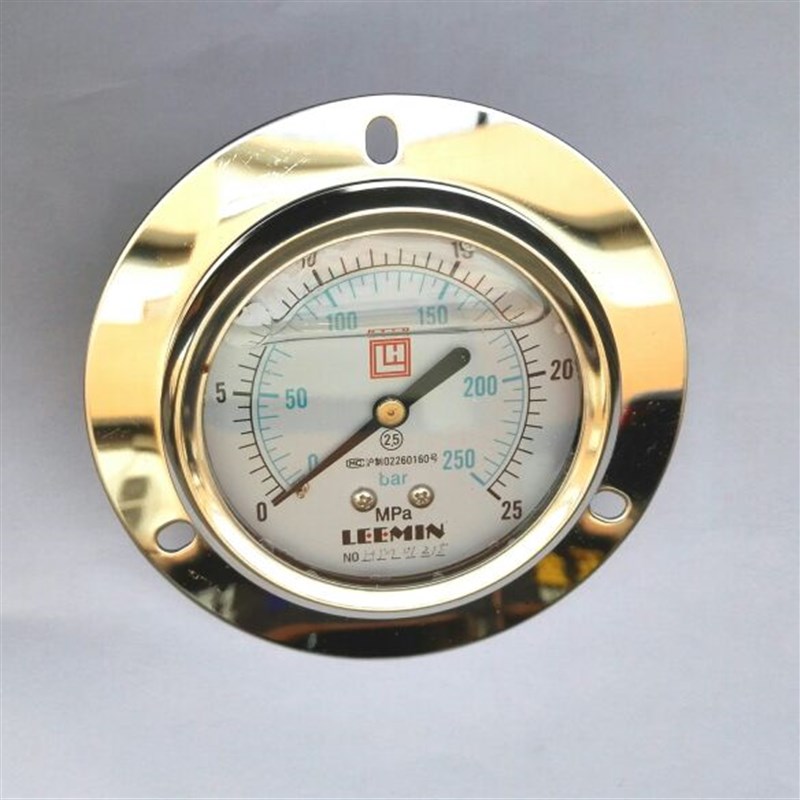轴向带边耐震压力表 YN-63IV 25mpa G1/4 250bar LEEMIN 63mm