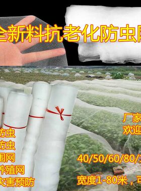 大棚防虫网果树果园网罩蔬菜植物防护网养猪场防蚊虫网Z拱棚网加