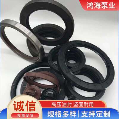 耐高温高压液压支架齿轮泵密封圈油泵密封机械骨架油封机械密封件