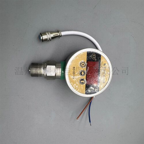 数字压力远传表BD-601YB不锈钢0-1.0MPA(60/M20*1.5) 0.6MPA
