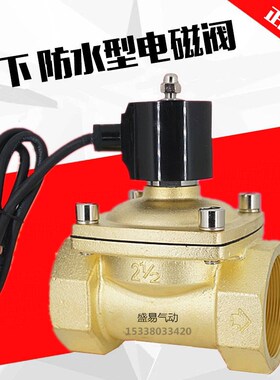 水下喷泉跳泉 2寸半防水电磁阀水阀开关阀 DN65 气阀AC220V DC24V