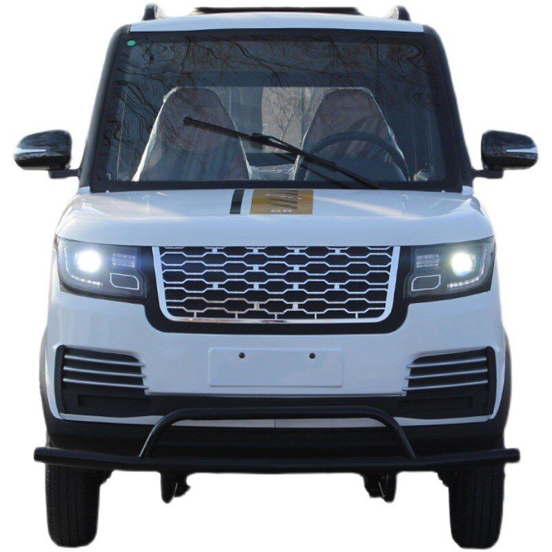 新能源电动小汽车成人油电两用四轮接孩子代步轿车老头乐女士家用