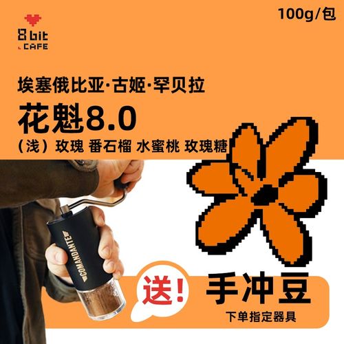 【赠】捌比特咖啡 100g花魁8.0手冲咖啡豆 (指定商品)