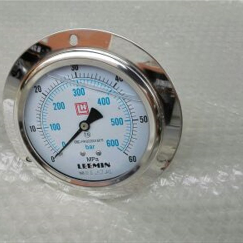 LEEMIN轴向带边耐震压力表 ytn-100lv 0~60mpa/0-600bar m20x1.5
