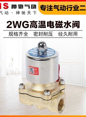 SNS神驰高温电磁水阀气蒸汽2WG025 040 160 200 250-08 10 15 20