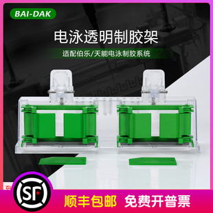 RAD伯乐1653303 通用BIO 天能 制胶系统 Western电泳制胶架灌胶台