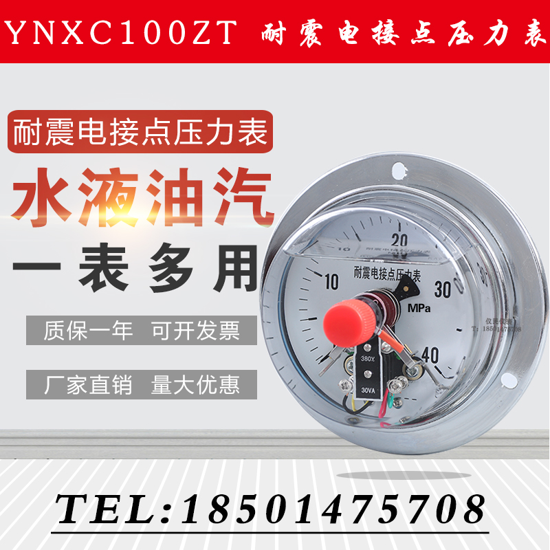 上海正宝 杭州东亚 YNXC100ZT轴向耐震电接点压力表 24 220v 50va