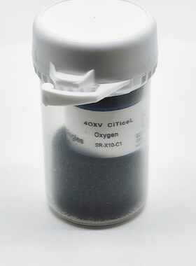 SR-X10-C1氧气感测器BW;GasAlertMax XT II