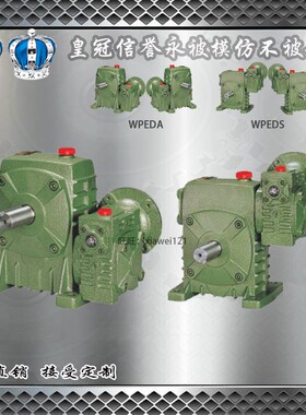 WPEDKA/WPEDKS70120双极立式减速机变速器变速箱涡轮蜗杆