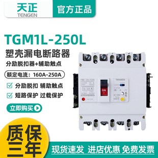 3N340漏电开关断路器消防分励脱扣 4340 辅助触点 250L 天正TGM1L