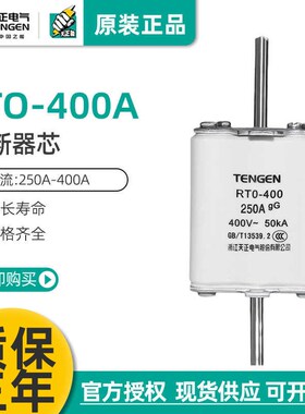 TENGEN天正电气 RTO-400A熔断器RT0-400陶瓷熔芯保险丝315A 250A
