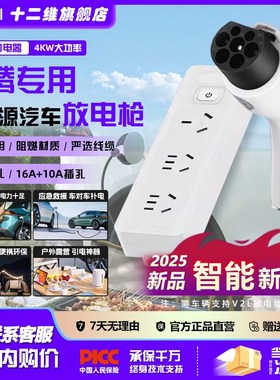 奔腾E01/NAT新能源车放电枪户外露营便捷一体取电器转换器外放电