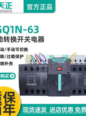 天正双电源自动转换开关TGQ1N-63M/4P三相四线380V市电切换CB级