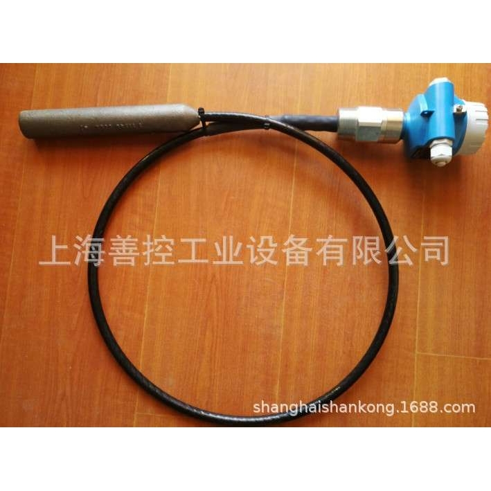 细小粗糙颗粒固体的限位检测E+H电容物位计FTI56-AAD1RV123A1A