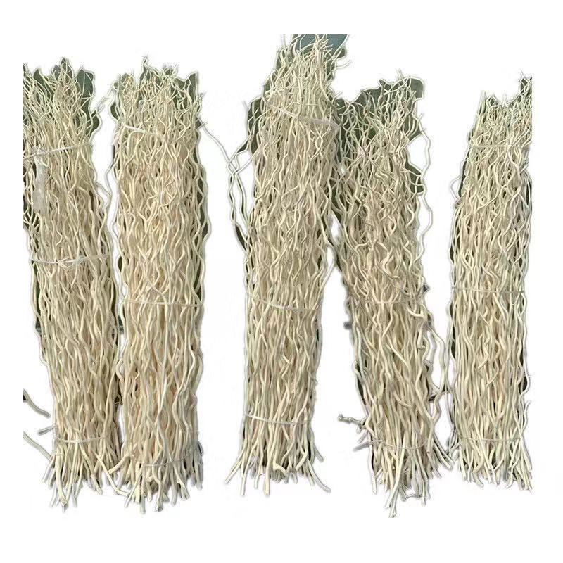 干树枝去皮龙桑干枝枯枝枯木树干挂件造型壁挂衣架龙柳枝条