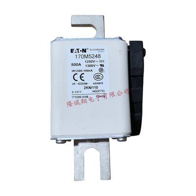 熔断器170M5243 170M5244 170M5245 170M5246 170M5247 170M5248