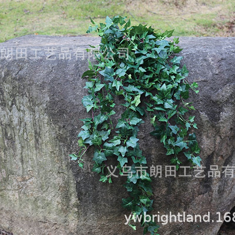 绿色常春藤仿真春色常春藤壁挂仿真地瓜叶壁挂植物墙仿真藤蔓