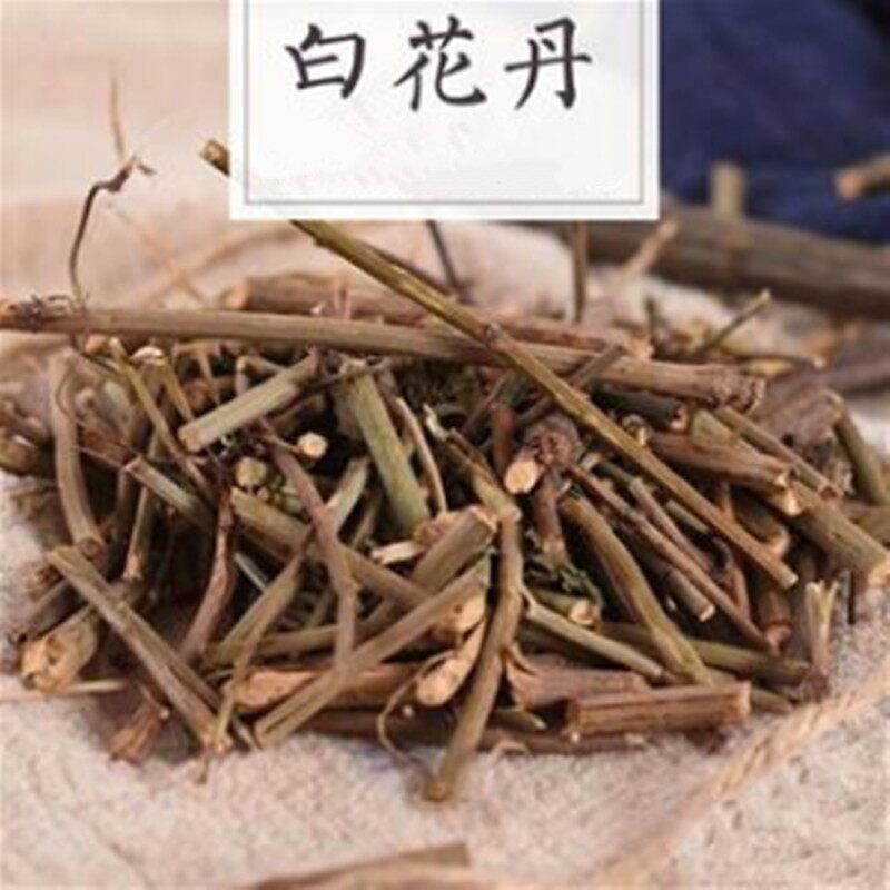 中药材 白花丹 别名:山坡芩 千里及 一见消 白雪花 500g克